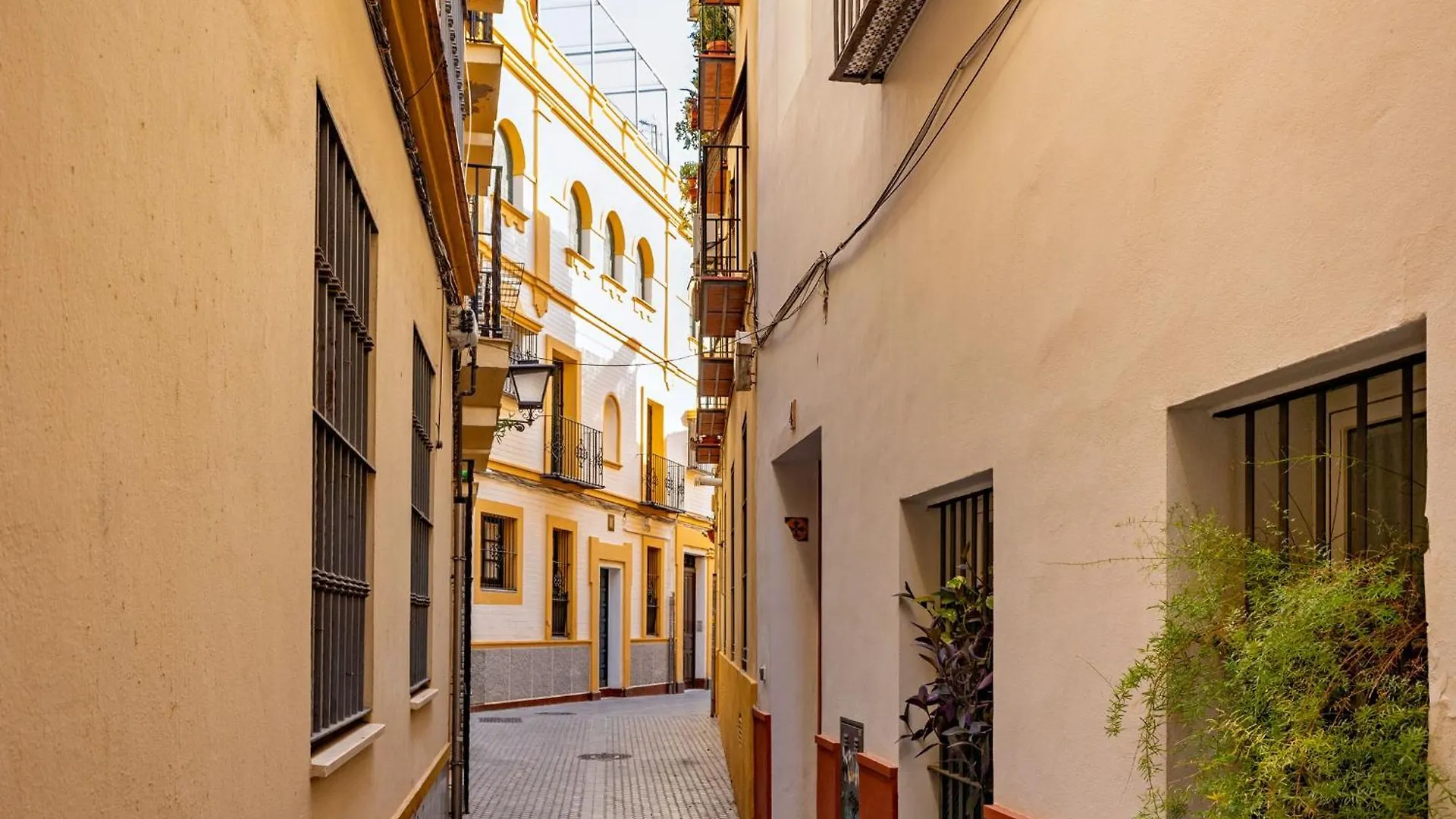 Apartment Santa Catalina City Center Seville
